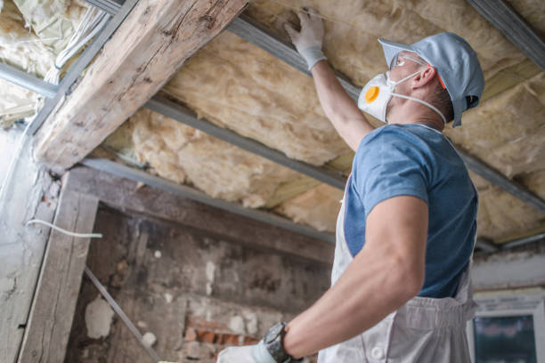 Best Energy-efficient Insulation  in Baileys Crossroads, VA
