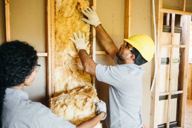 Best Home Insulation Services  in Baileys Crossroads, VA