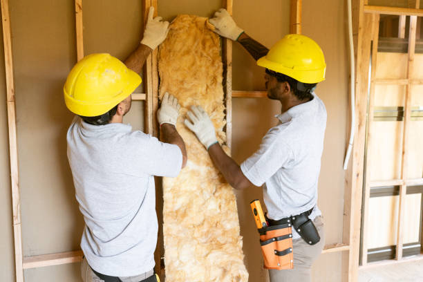 Best Insulation Contractors for Homes  in Baileys Crossroads, VA