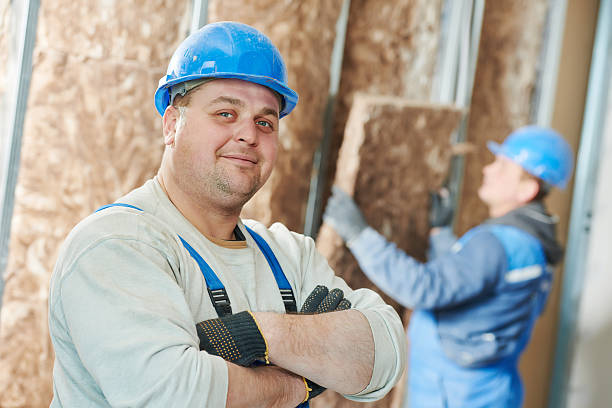 Insulation Replacement Services in Baileys Crossroads, VA
