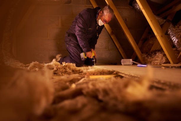 Best Insulation Inspection Services  in Baileys Crossroads, VA