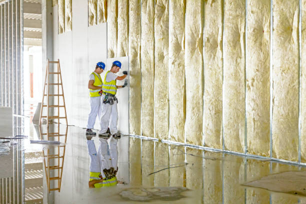 Best Professional Insulation Contractor  in Baileys Crossroads, VA